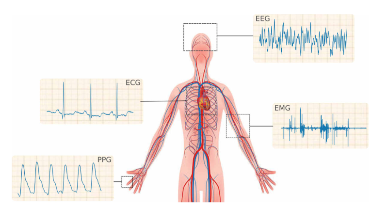 Deep Generative Models for Physiological Signals